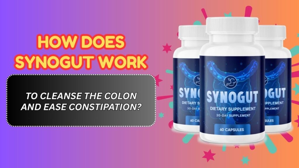 How-Does-SynoGut-Work-to-Cleanse-the-Colon-and-Ease-Constipation.jpg