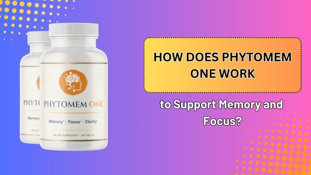 How-Does-Phytomem-One-Work-to-Support-Memory-and-Focus.jpg